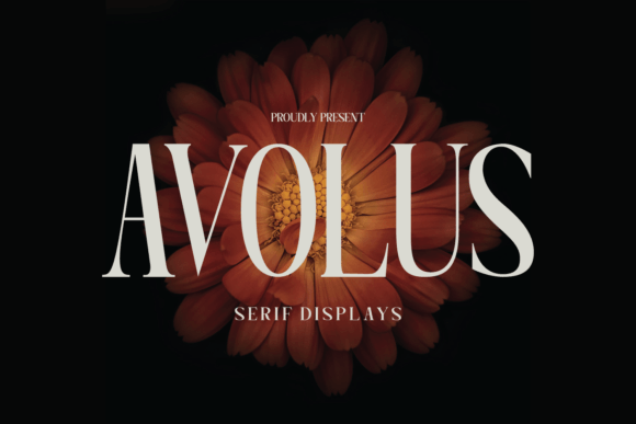 Avolus Font: Elevating Campaign Visuals with Modern Display Type