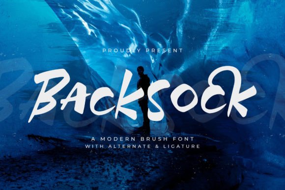 Backsock Font: Modern Brush Style for Business Branding